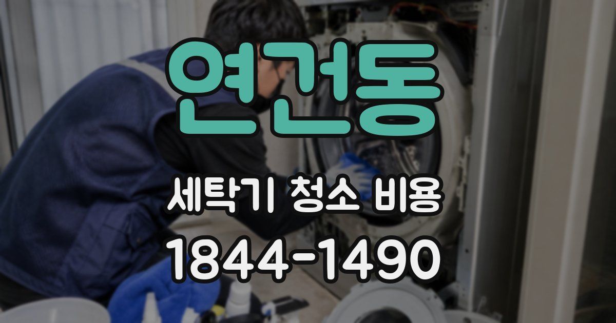 연건동 세탁기 청소 비용