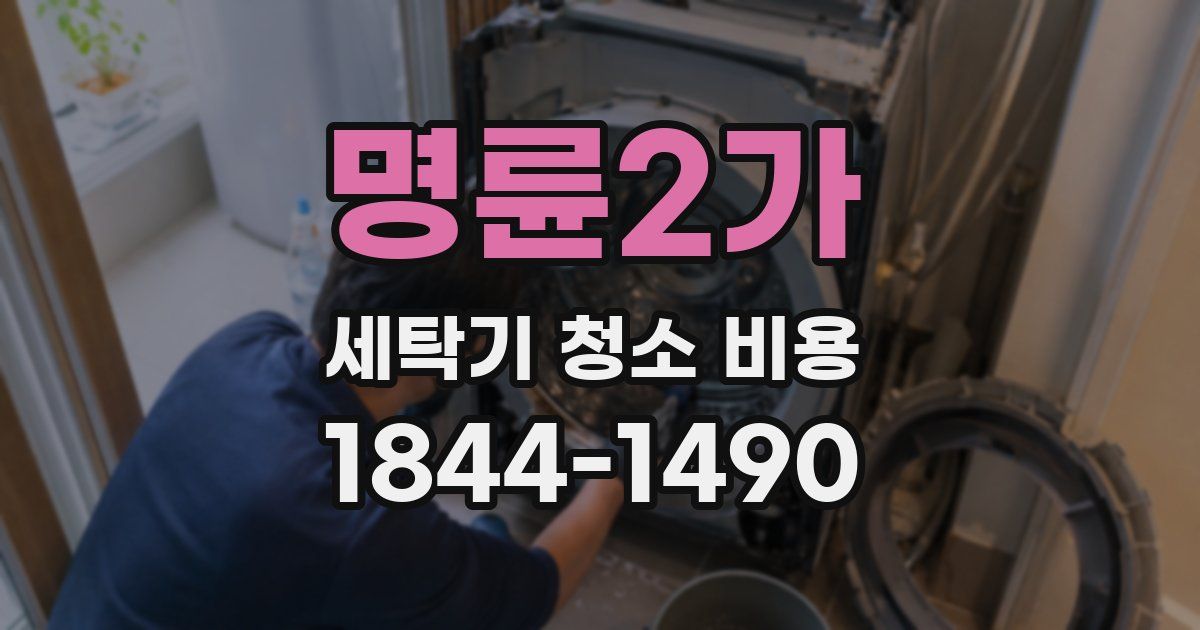 명륜2가 세탁기 청소 비용