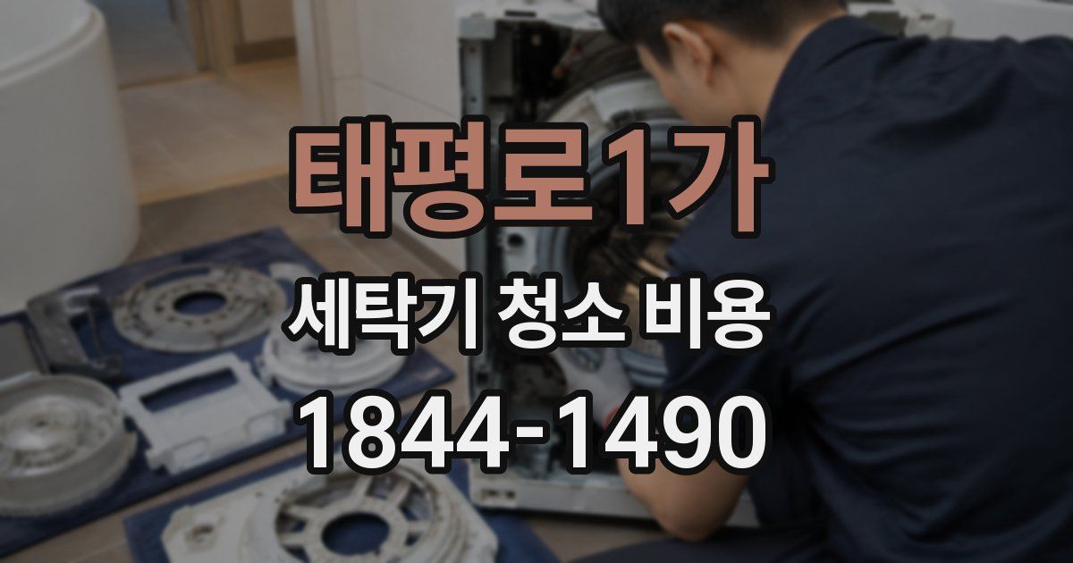 태평로1가 세탁기 청소 비용