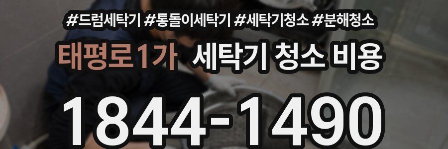 태평로1가 세탁기 청소 비용