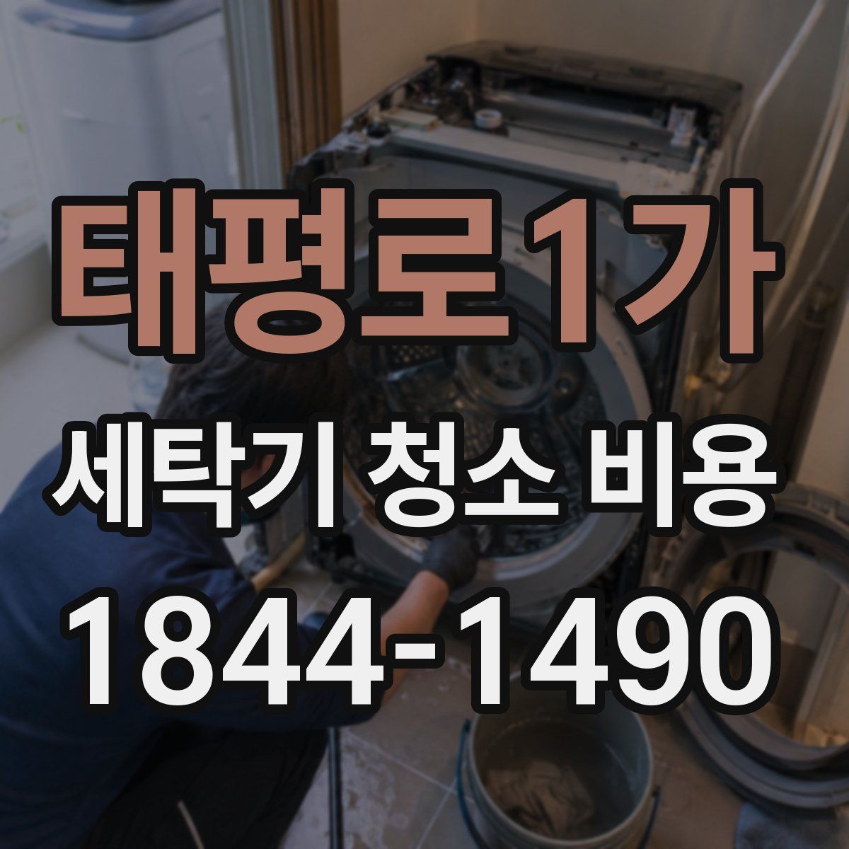 태평로1가 세탁기 청소 비용