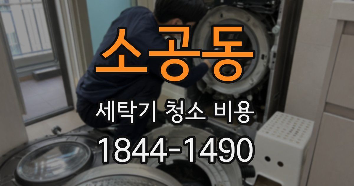 소공동 세탁기 청소 비용