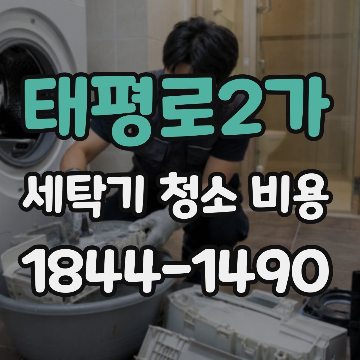 태평로2가 세탁기 청소 비용