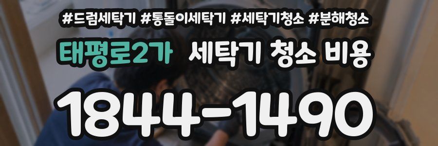 태평로2가 세탁기 청소 비용