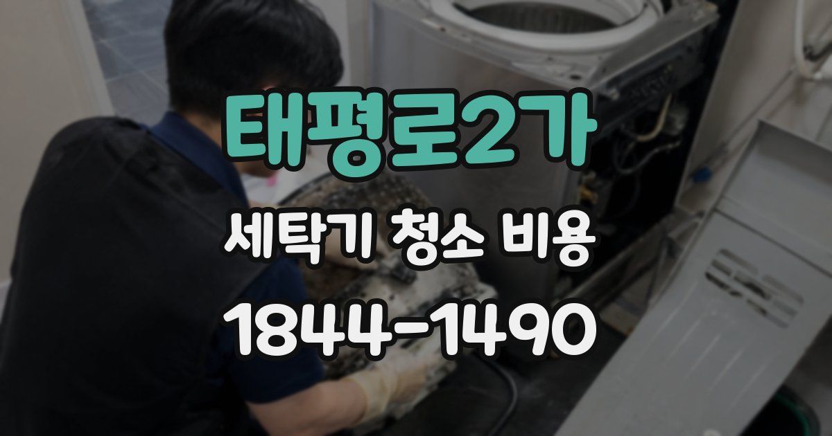 태평로2가 세탁기 청소 비용