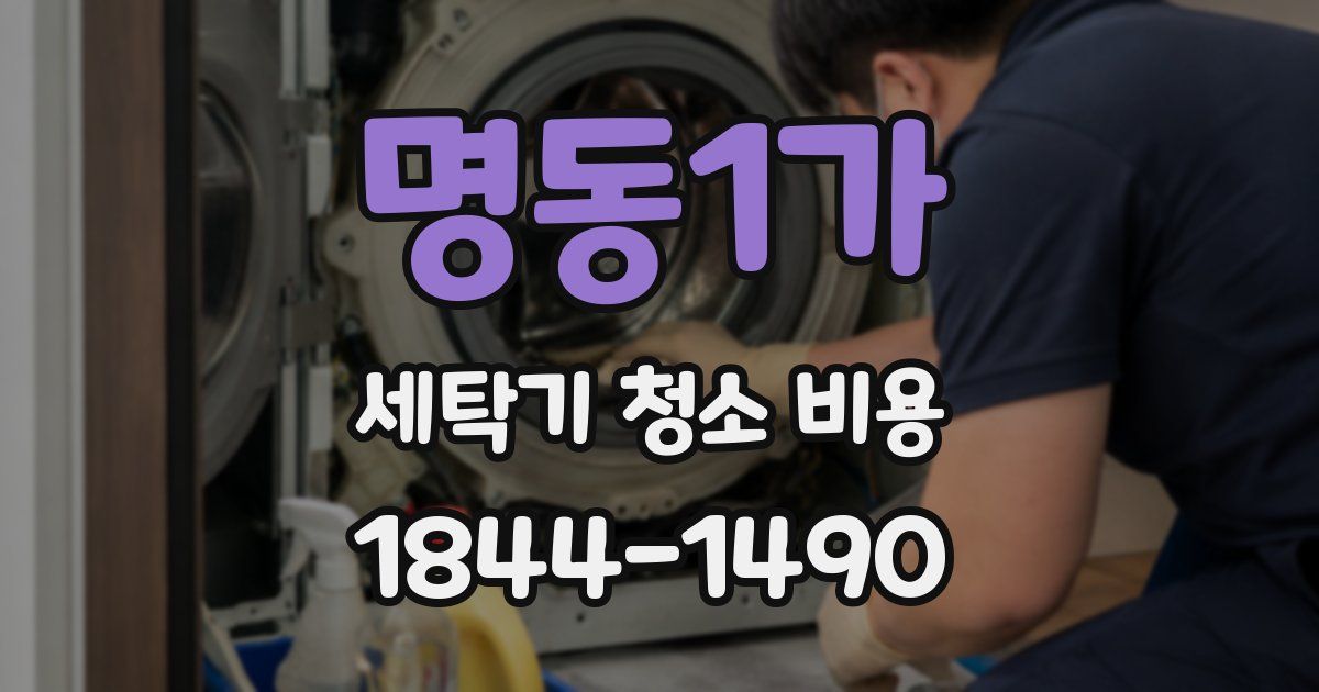 명동1가 세탁기 청소 비용
