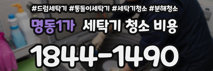 명동1가 세탁기 청소 비용