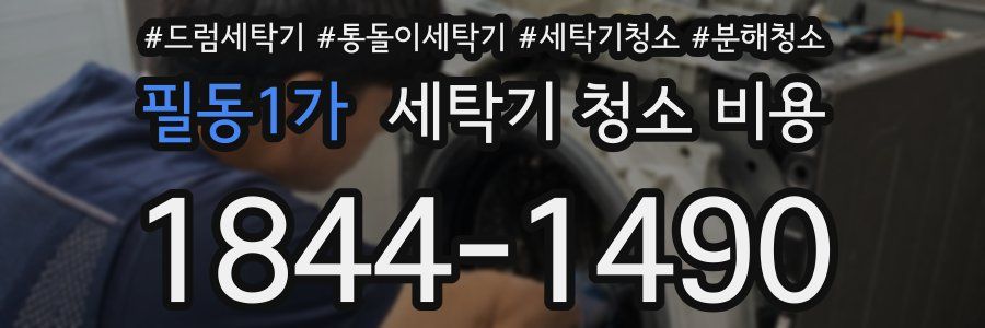 필동1가 세탁기 청소 비용