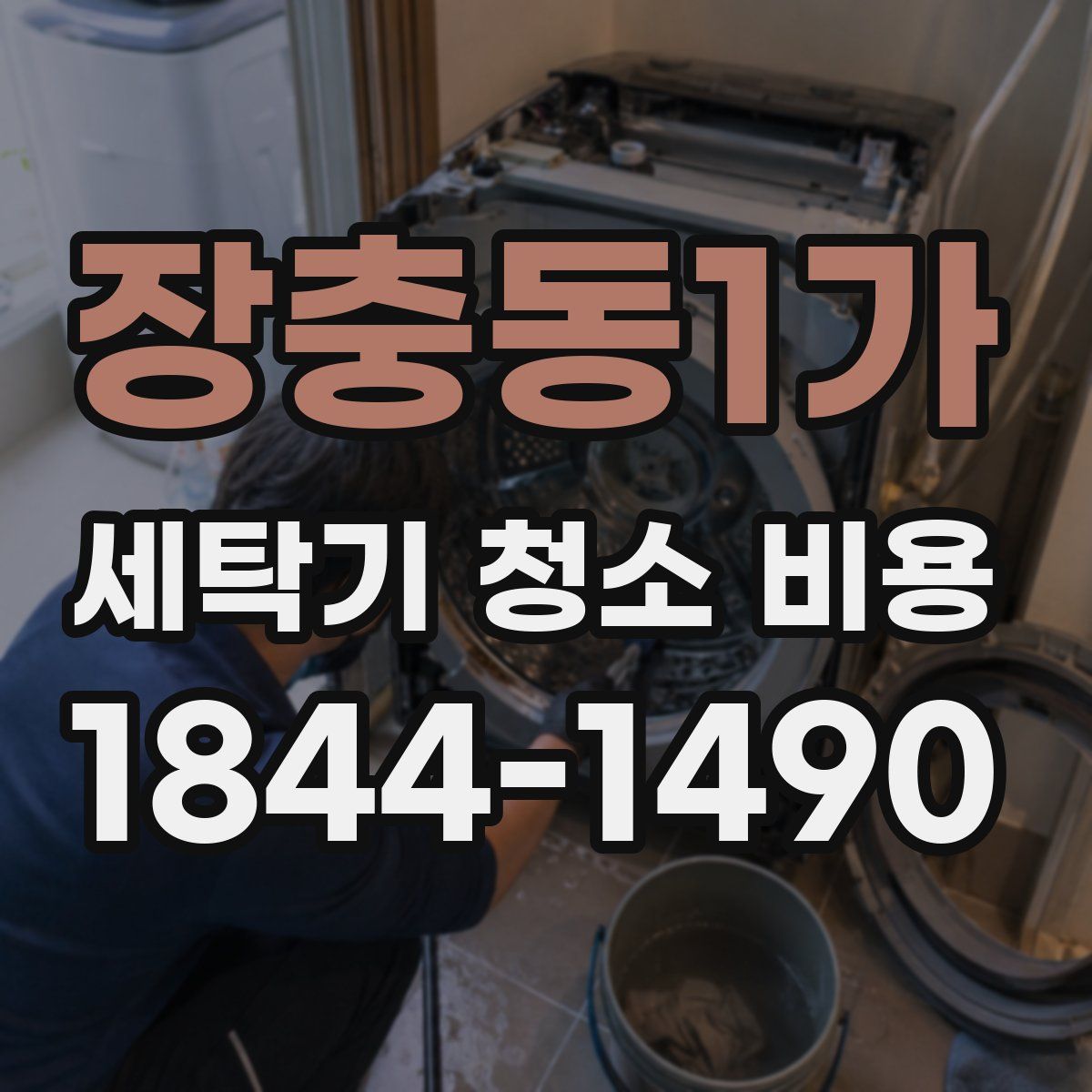 장충동1가 세탁기 청소 비용