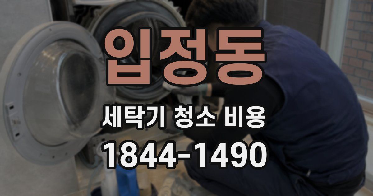 입정동 세탁기 청소 비용