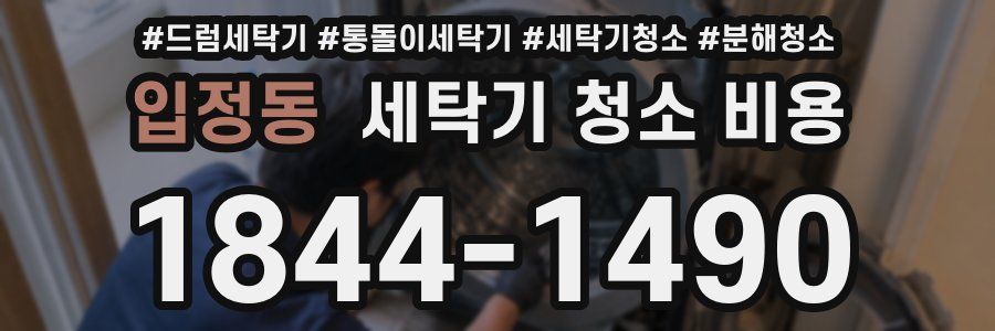 입정동 세탁기 청소 비용