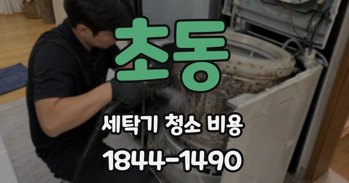 초동 세탁기 청소 비용