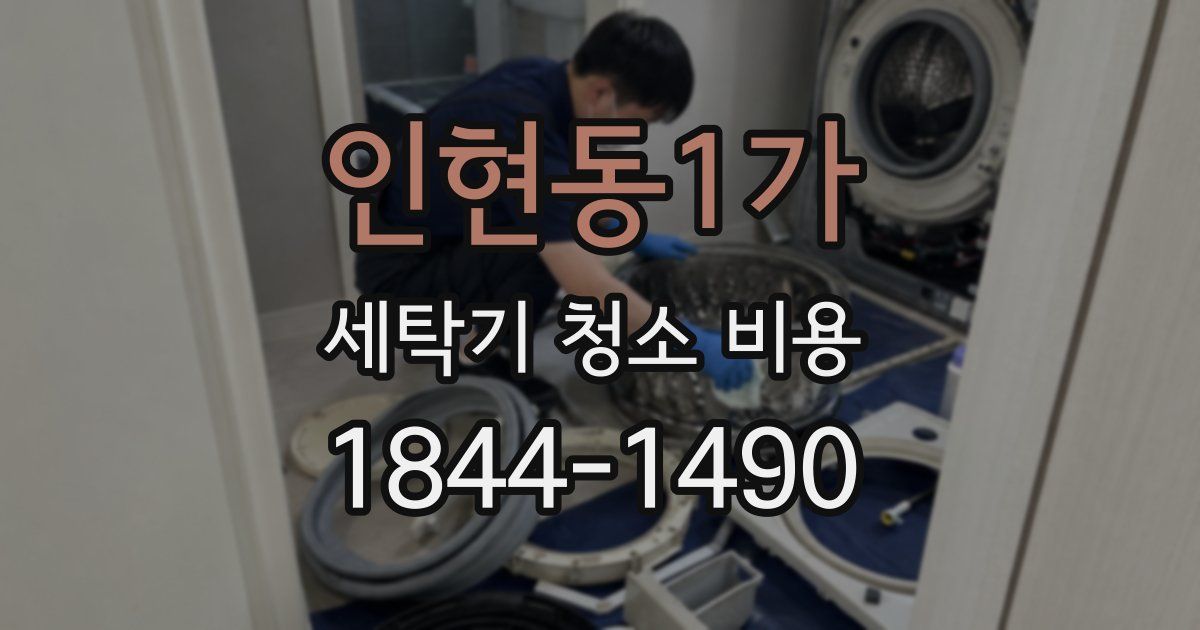 인현동1가 세탁기 청소 비용