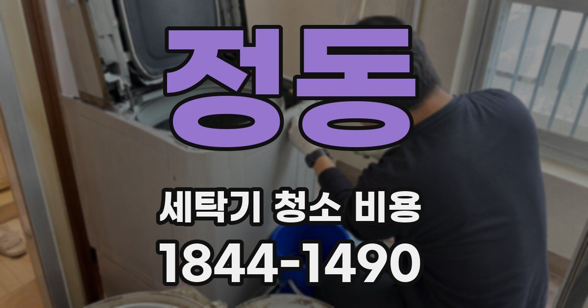 정동 세탁기 청소 비용