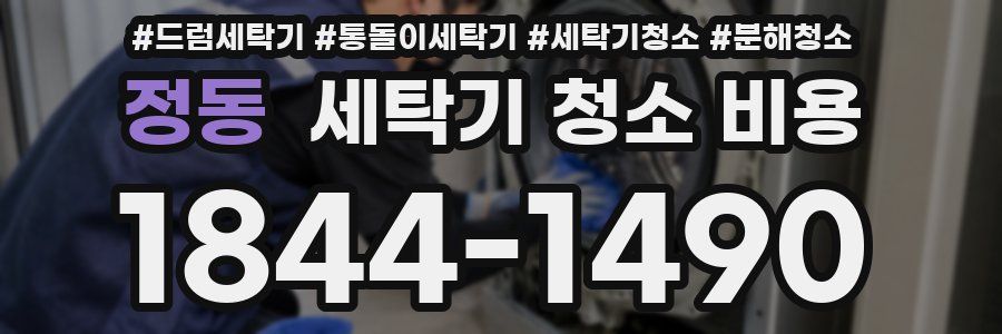 정동 세탁기 청소 비용
