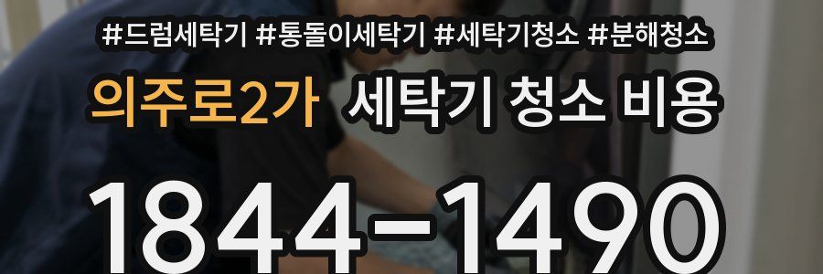 의주로2가 세탁기 청소 비용
