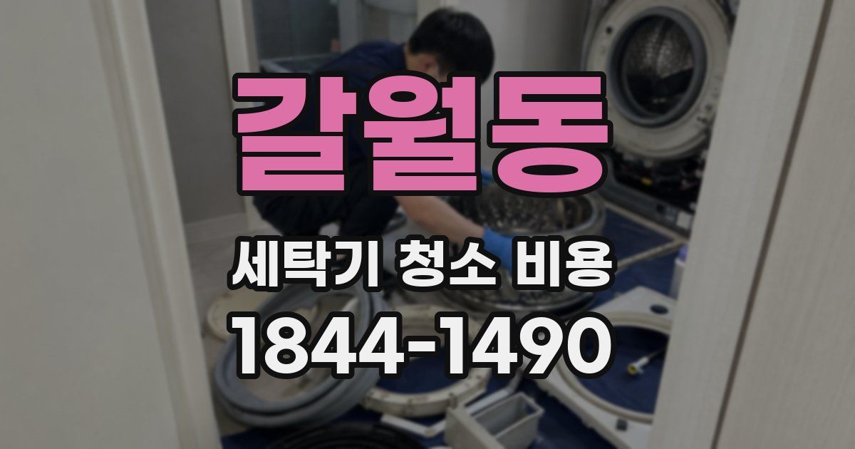 갈월동 세탁기 청소 비용
