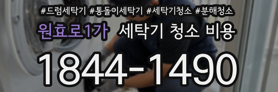 원효로1가 세탁기 청소 비용