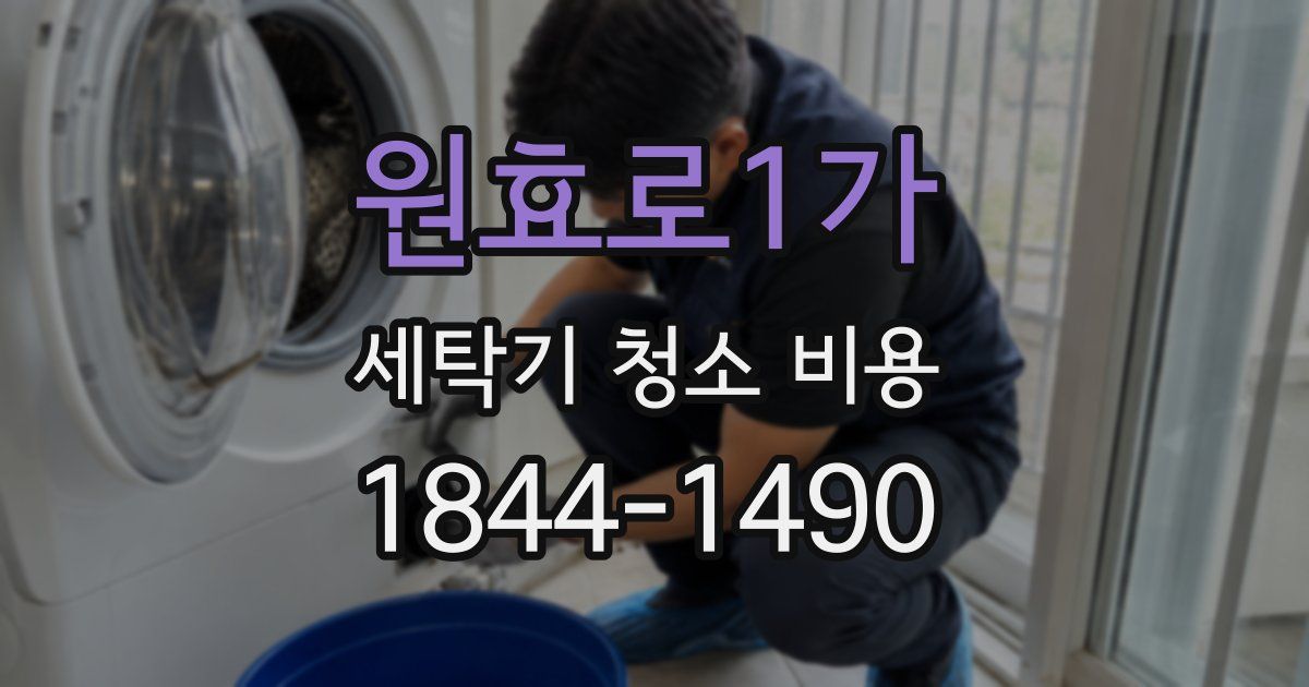 원효로1가 세탁기 청소 비용