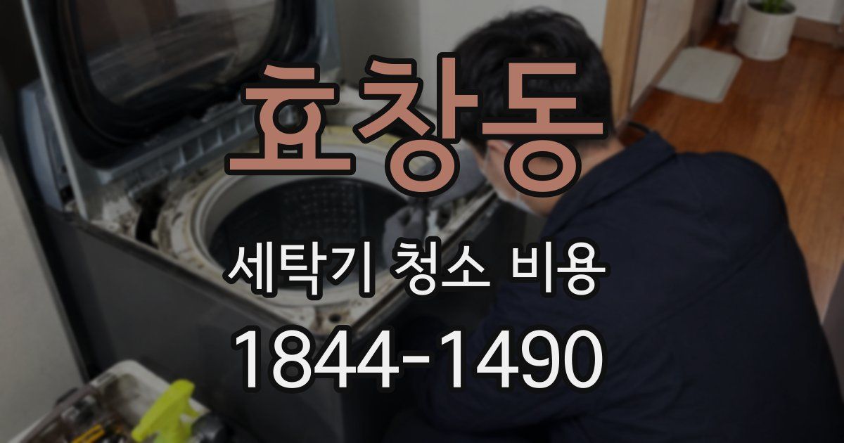 효창동 세탁기 청소 비용