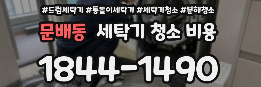 문배동 세탁기 청소 비용