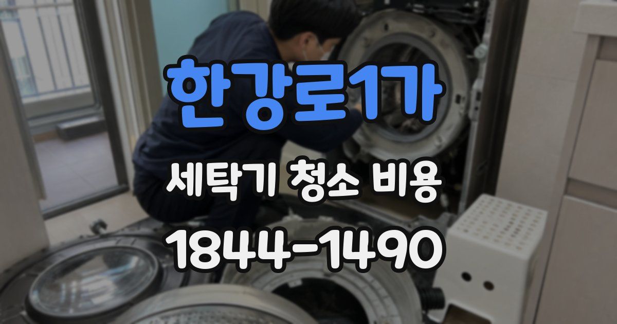 한강로1가 세탁기 청소 비용