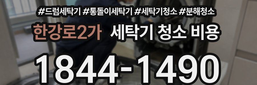 한강로2가 세탁기 청소 비용