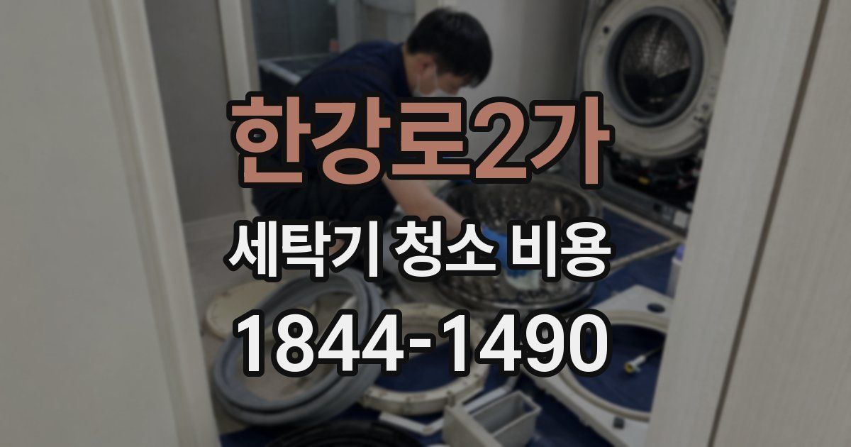 한강로2가 세탁기 청소 비용