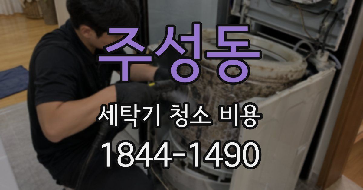 주성동 세탁기 청소 비용