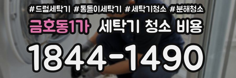 금호동1가 세탁기 청소 비용