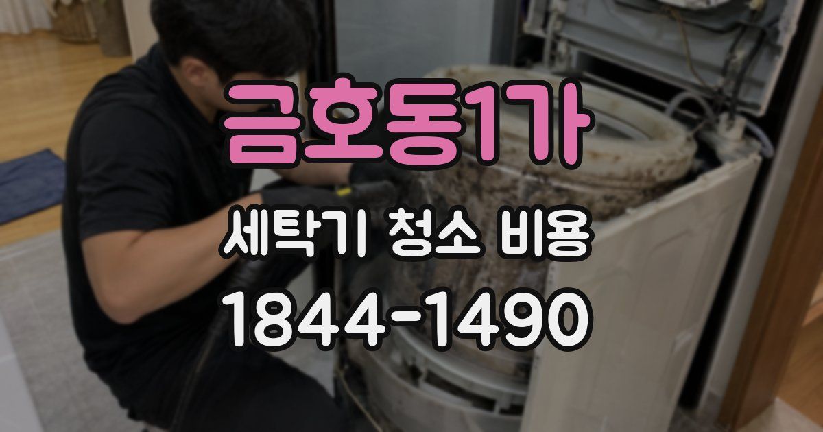 금호동1가 세탁기 청소 비용