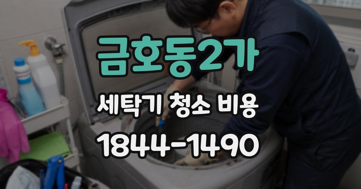 금호동2가 세탁기 청소 비용