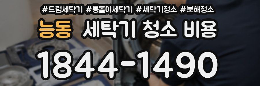 능동 세탁기 청소 비용