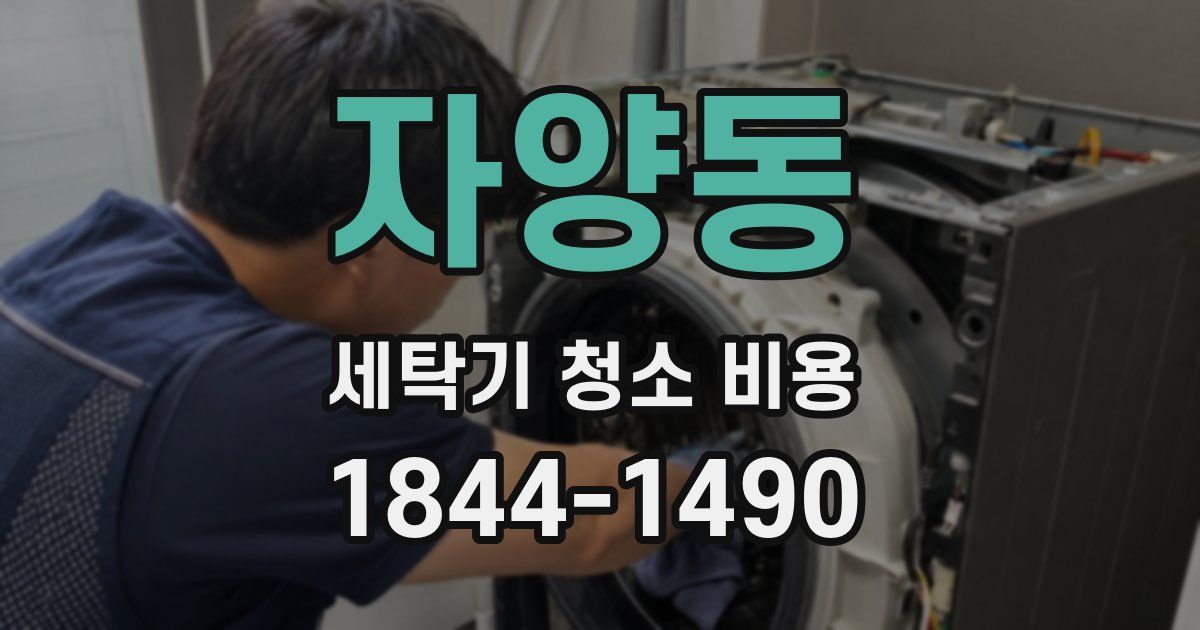 자양동 세탁기 청소 비용