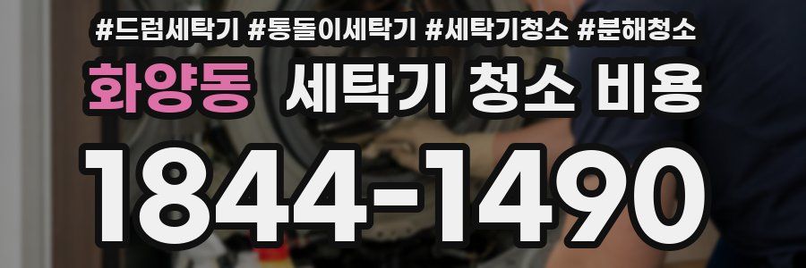 화양동 세탁기 청소 비용