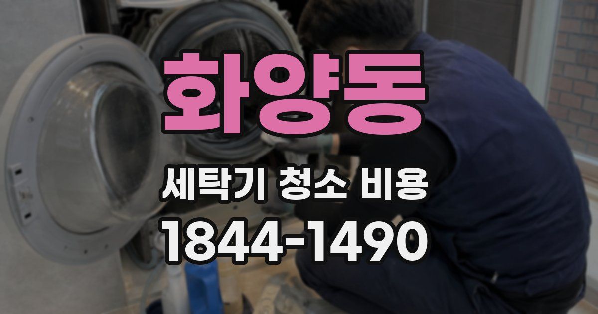 화양동 세탁기 청소 비용