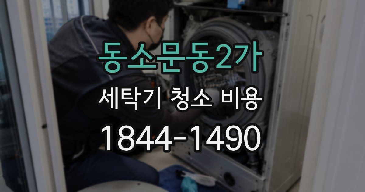 동소문동2가 세탁기 청소 비용