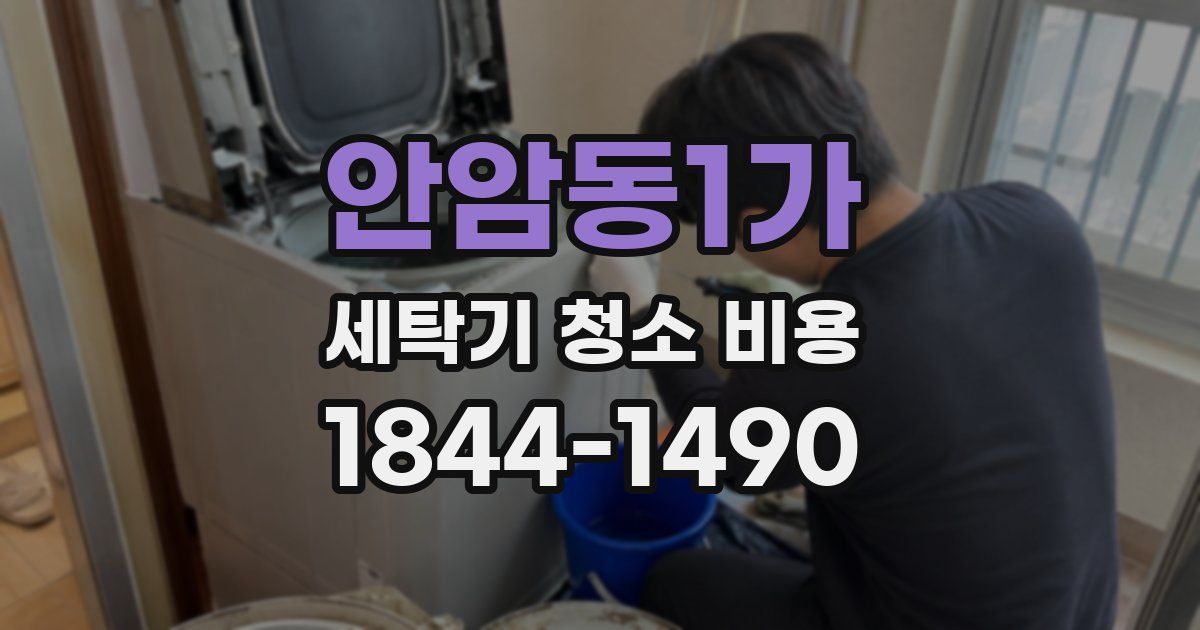 안암동1가 세탁기 청소 비용
