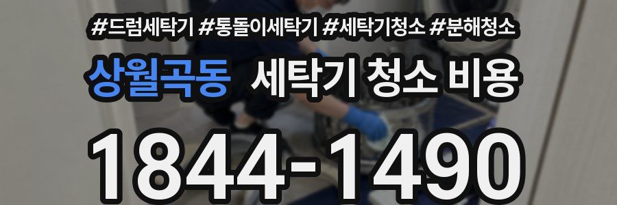 상월곡동 세탁기 청소 비용