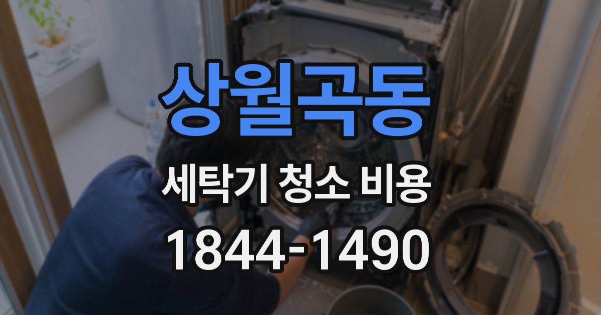 상월곡동 세탁기 청소 비용