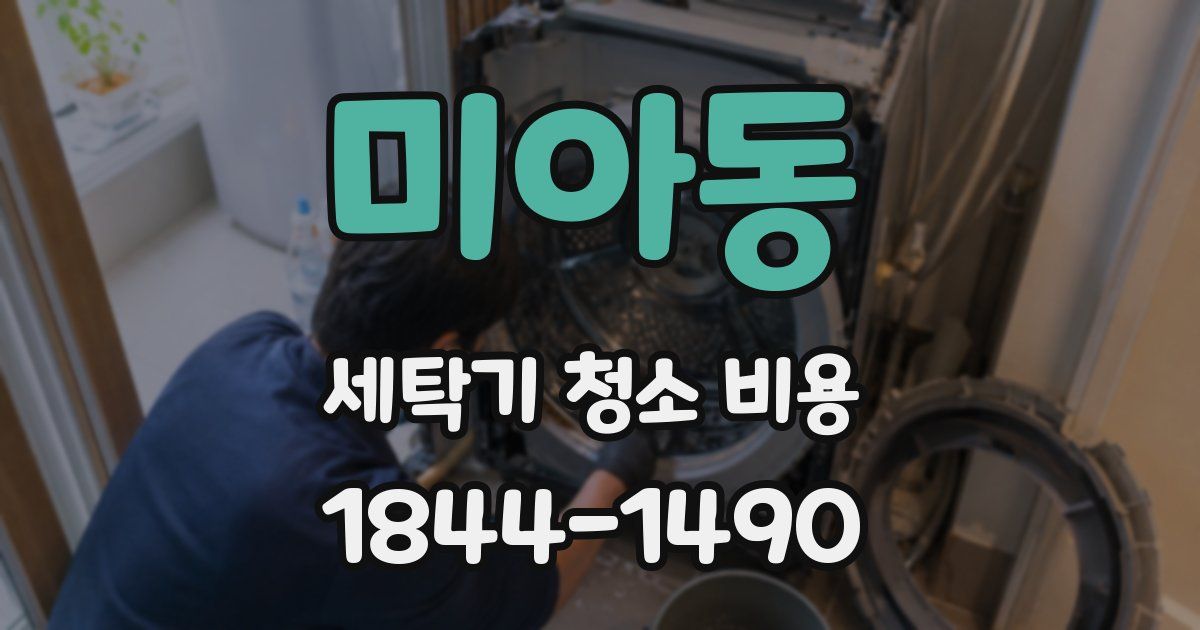 미아동 세탁기 청소 비용
