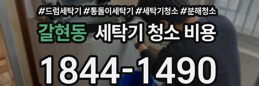 갈현동 세탁기 청소 비용
