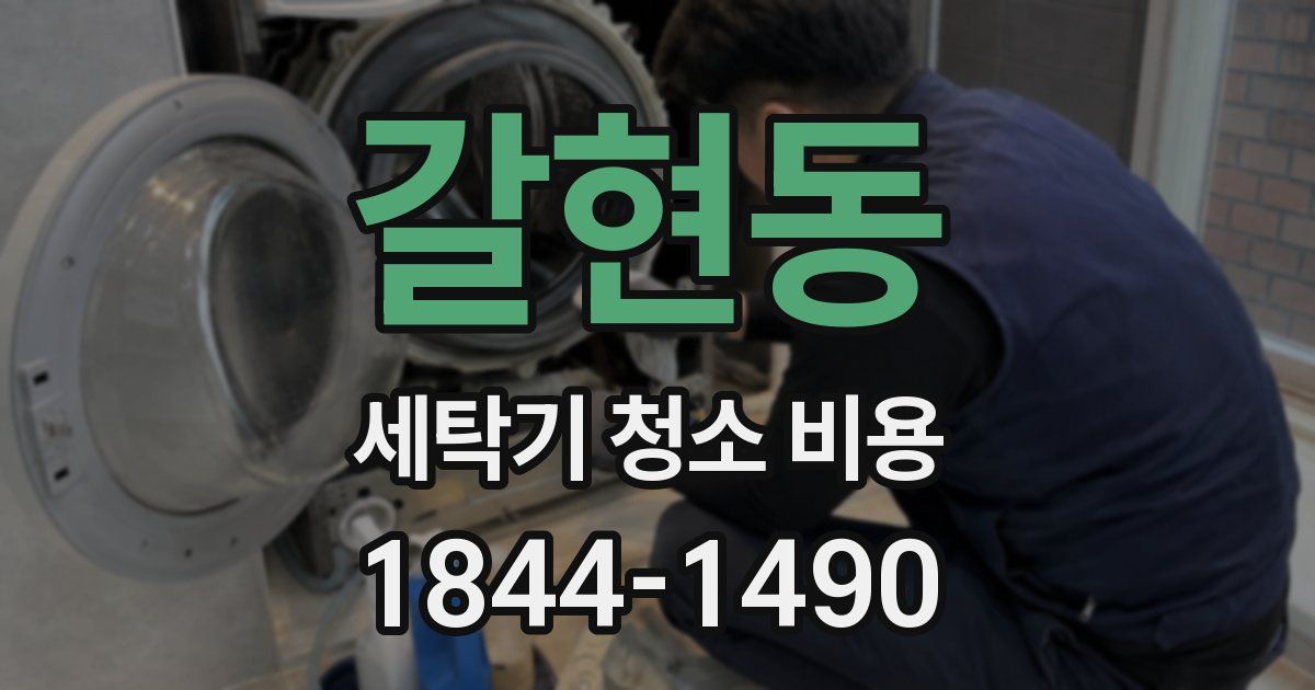 갈현동 세탁기 청소 비용