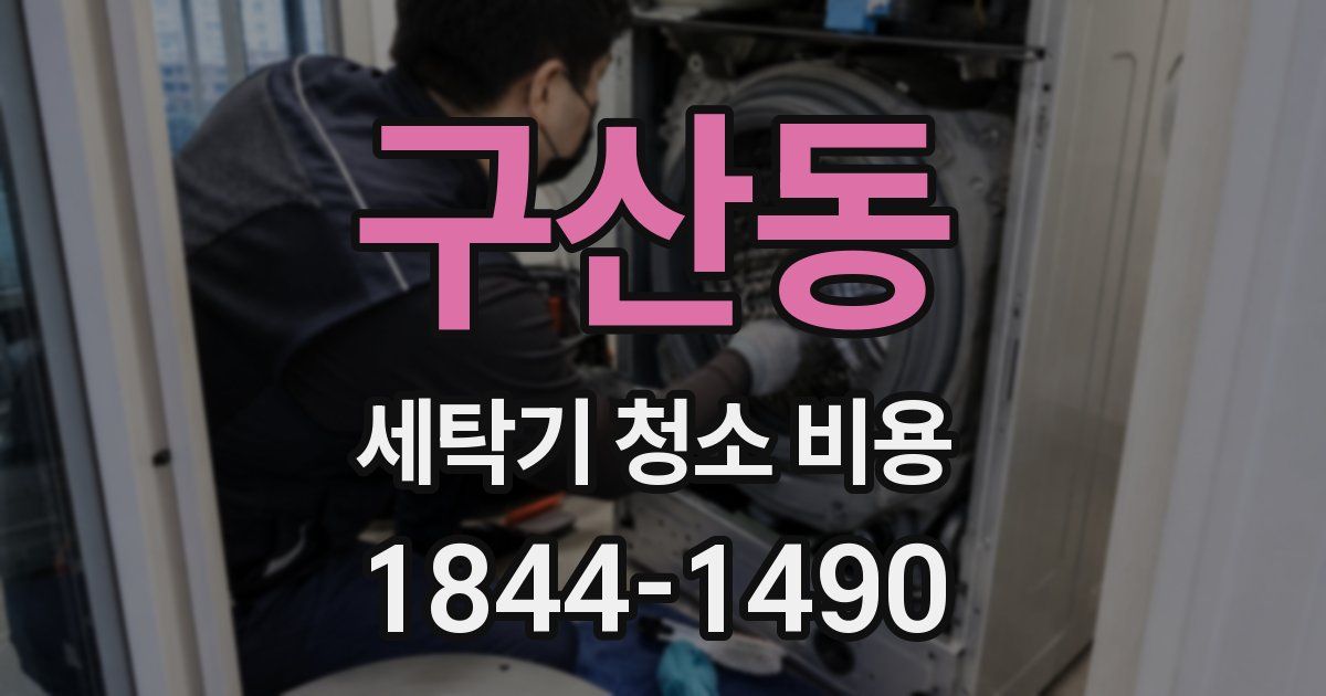 구산동 세탁기 청소 비용