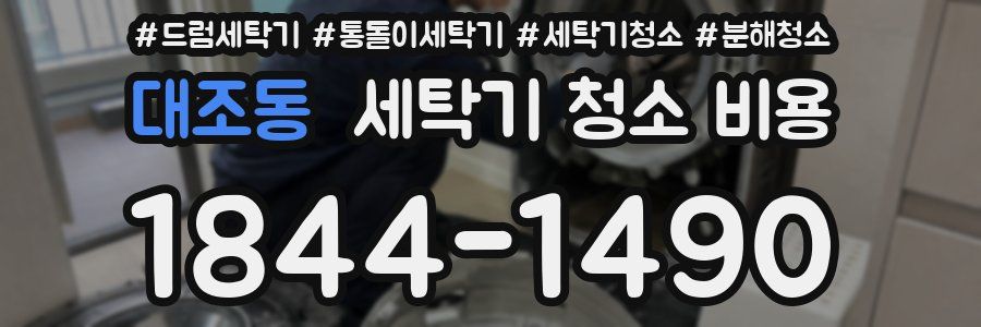대조동 세탁기 청소 비용