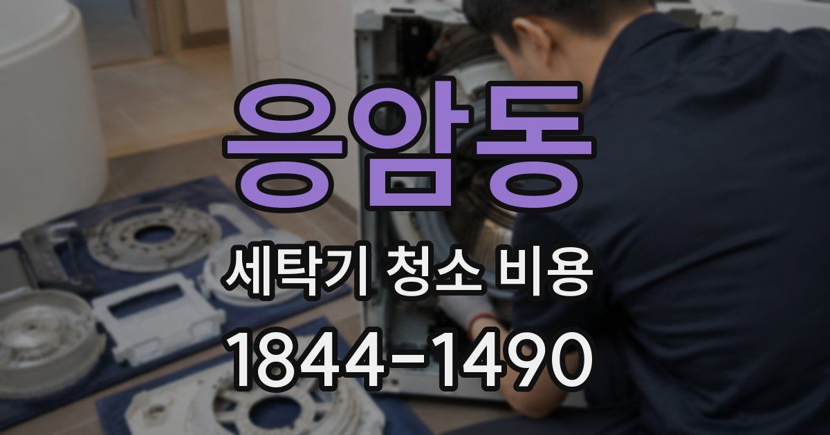 응암동 세탁기 청소 비용