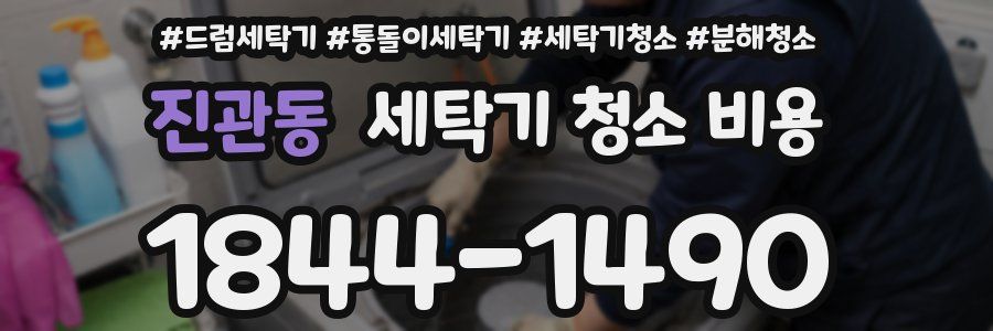 진관동 세탁기 청소 비용
