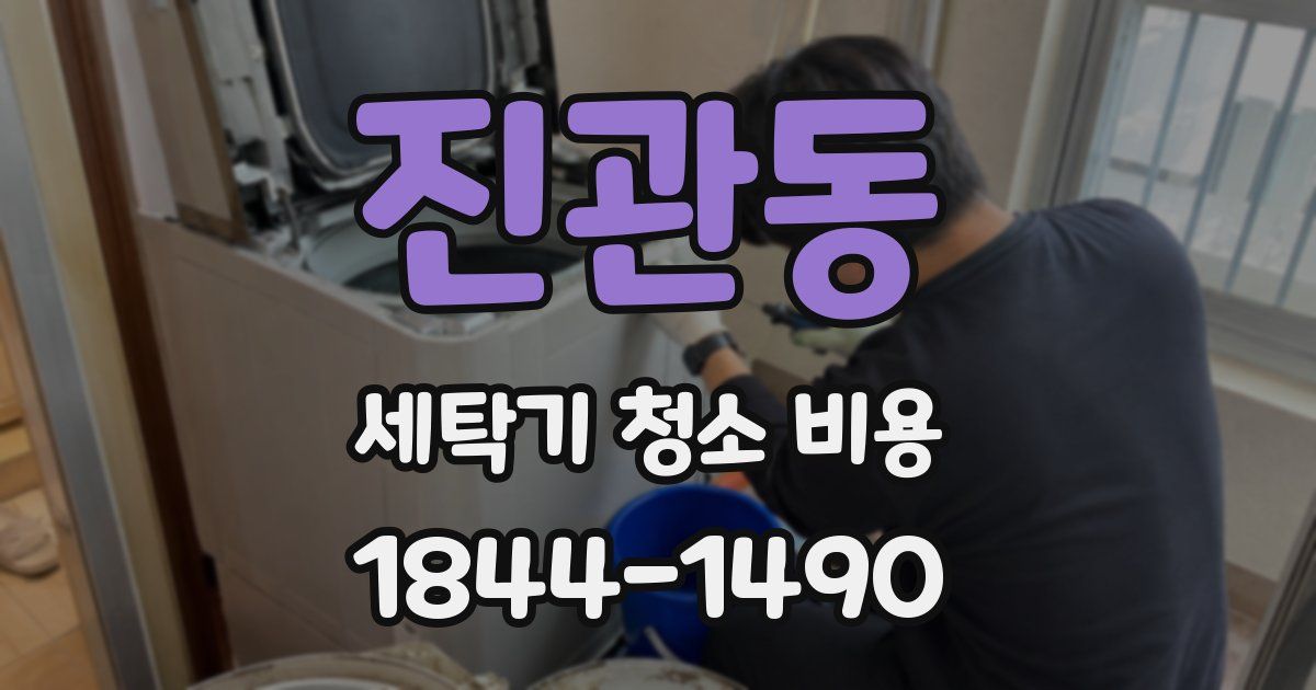 진관동 세탁기 청소 비용