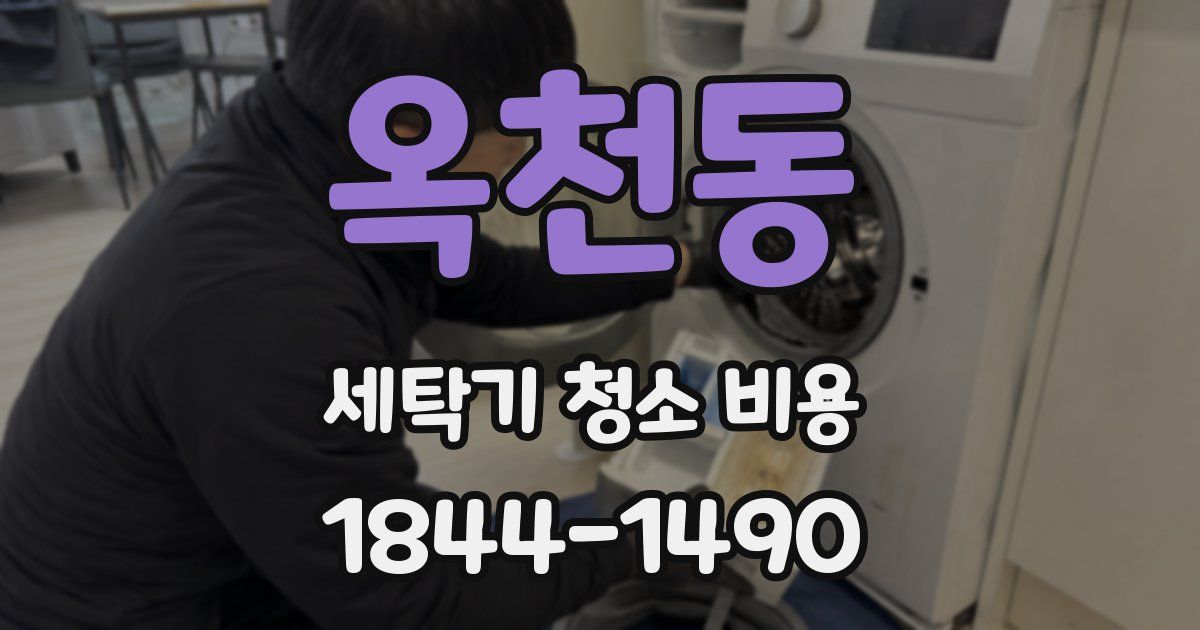 옥천동 세탁기 청소 비용