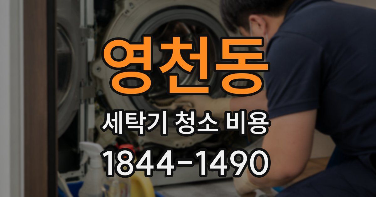 영천동 세탁기 청소 비용